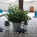 Casa Di Laura * Монополи